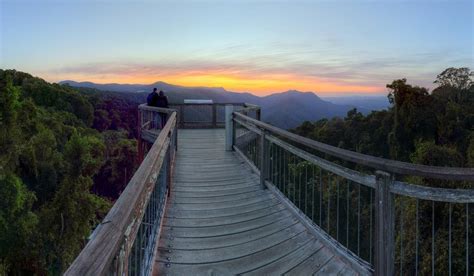 Dorrigo National Park in New South Wales should be on your bucket list. This photo is taken at ...