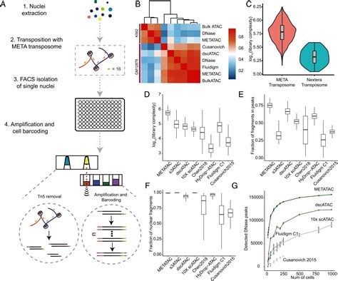 Txci-ATAC-seq, A Massive-scale Single-cell Technique To, 50% OFF