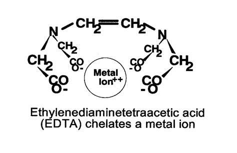 How does EDTA Chelation therapy work? (Part one) | Good Life Labs