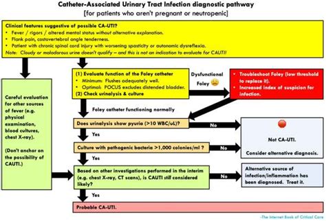 Catheter-associated urinary tract infection (CAUTI) - EMCrit Project