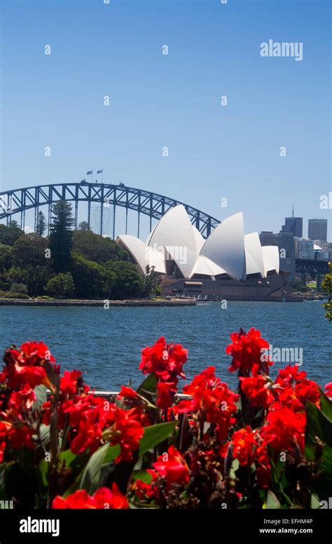 Sydney Opera House and Harbour Bridge from across Farm Cove in Royal ...