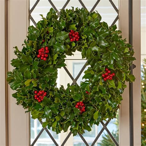 Holly – the Perfect Tree for Christmas | The Tree Center™