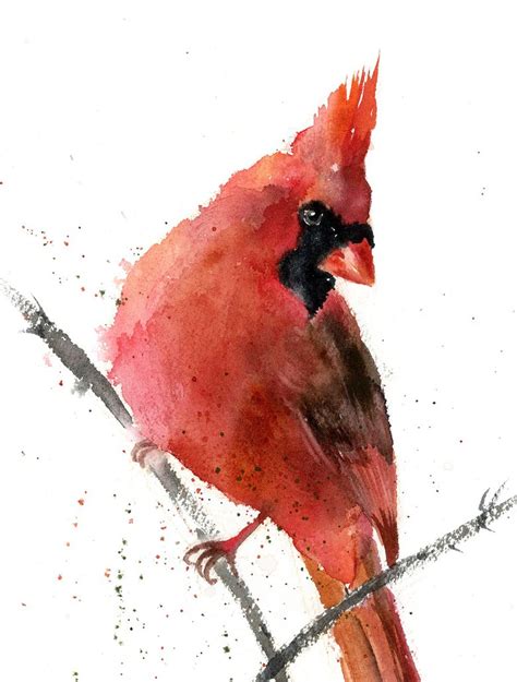 Watercolor Cardinal Watercolour by Olga Tchefranov (Shefranov) | Artfinder