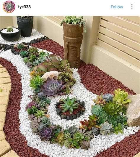 20+ Succulent Front Yard Ideas