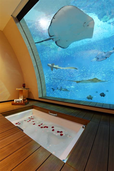 5 Underwater Hotel Rooms Where You Can Sleep With the Fishes (Literally)