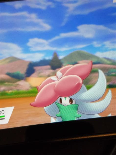 [8] Shiny Gossifleur shows up after 506 REs! : r/ShinyPokemon