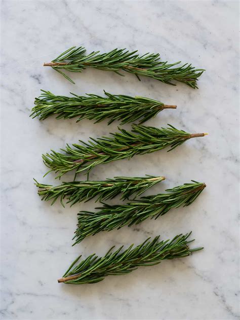 Rosemary Sprig Place Cards | DIY Place Cards | Spoon Fork Bacon