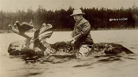 Photo of Theodore Roosevelt atop swimming moose debunked | Fox News