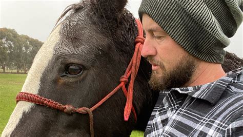 Horse Hoof Care and Botfly Prevention at Calan Pastures, Australia ...