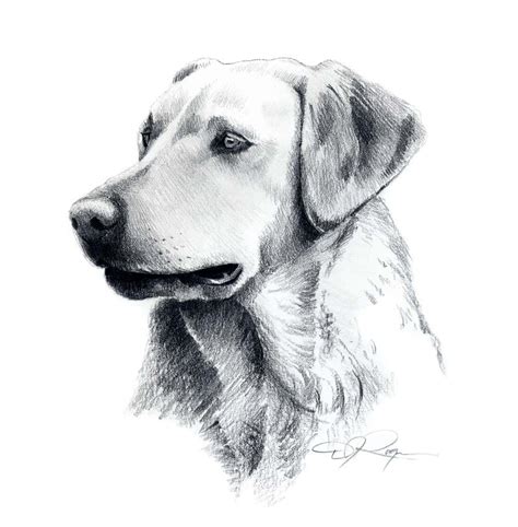 LABRADOR RETRIEVER Dog Pencil Drawing Art Print by Artist DJ - Etsy