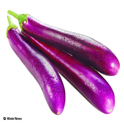 Eggplant (Talong) - Ninda Moves