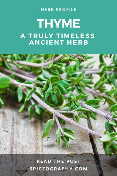 Thyme is a #spicerack staple. Its earthy, sweet, warm, and even slightly minty flavor has the ...