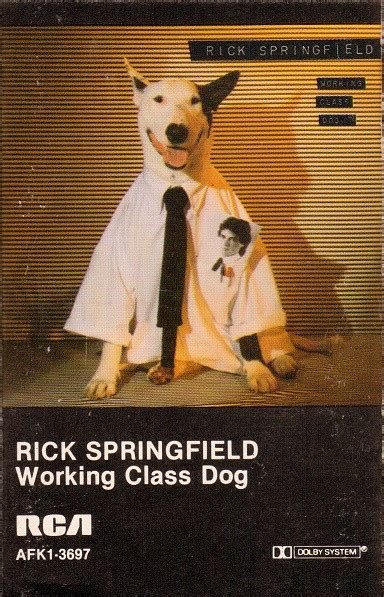 Rick Springfield - Working Class Dog (1981, Cassette) | Discogs