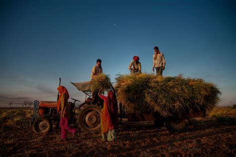 Canada’s unions stand with India’s farmers and farm workers | Canadian ...