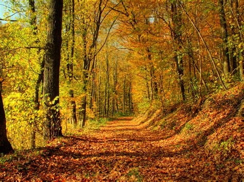 Fall Scenery Backgrounds ·① WallpaperTag