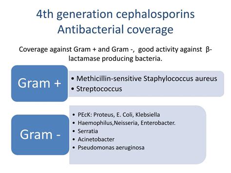 PPT - Pharmacology of Cephalosporins : General Overview PowerPoint ...