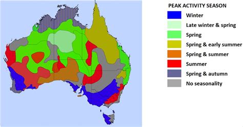 In a bad fire year, Australia records more than 450,000 hotspots. Maps ...