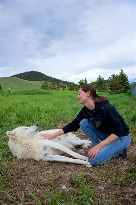 Not Many People Know About Howler's Inn Wolf Sanctuary In Montana