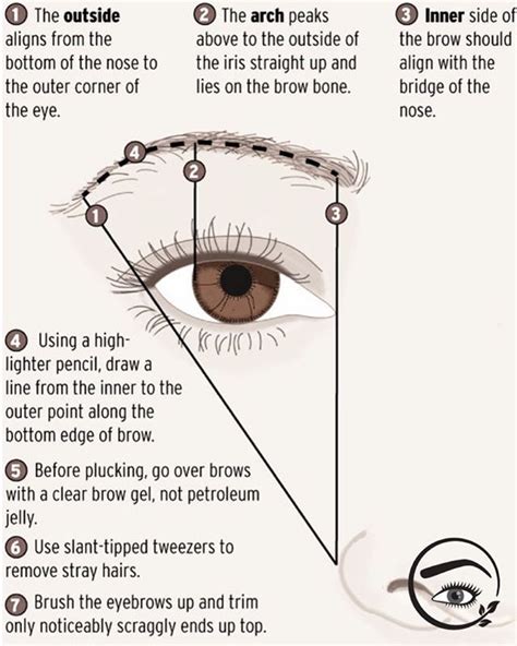 Mapping Your Eyebrows - I start by using the Golden Ratio to determine ...