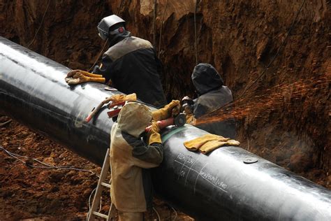 The east African crude oil pipeline: future ecocide? — Stop Ecocide International