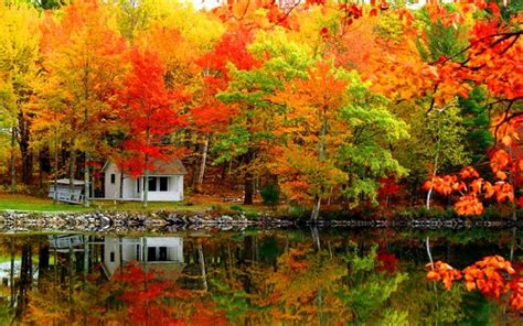 Cabin at the lake in the fall | GORGEOUS!!! | Pinterest