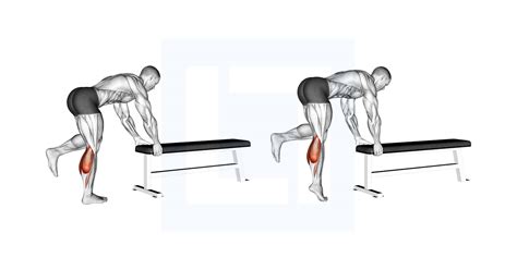 Bodyweight Standing Calf Raise - Guide, Benefits, and Form