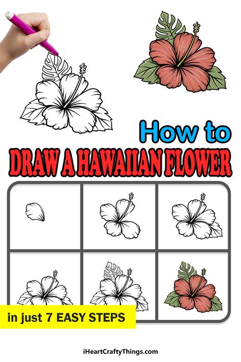 Easy To Draw Hawaiian Flowers