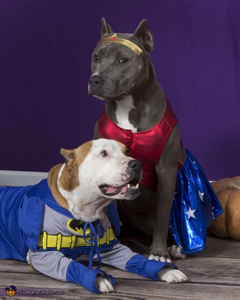 Superdog Heroes - Halloween Costumes for Pets | Affordable Halloween ...