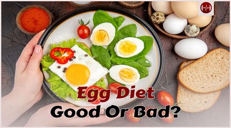 The Egg Diet: A Secret Way To Lose Weight Or A FAD Diet? - aestheticbeats