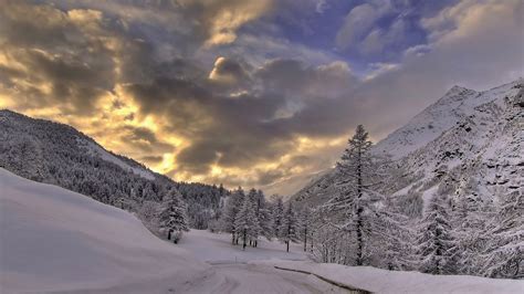 Download White Snow Road Forest Tree Cloud Landscape Nature Winter HD ...