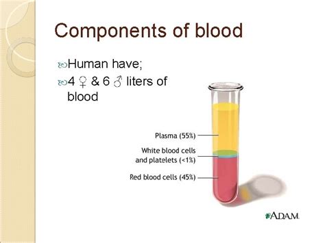 Components of blood Bloodstream Components of blood Human