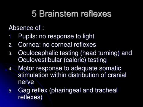 PPT - Brainstem death PowerPoint Presentation, free download - ID:3883681