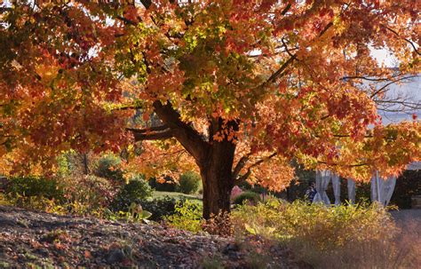 Celebrate Autumn in the Garden with Pittsburgh Botanic Garden! - Made ...