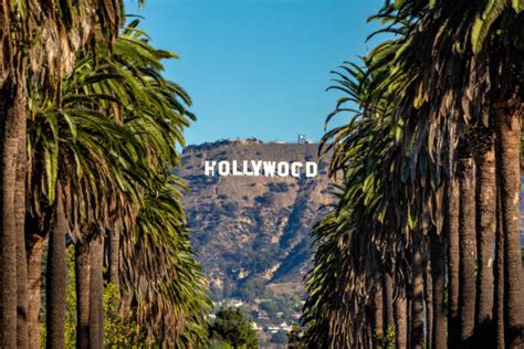 Hollywood Sign Stock Photos, Pictures & Royalty-Free Images - iStock