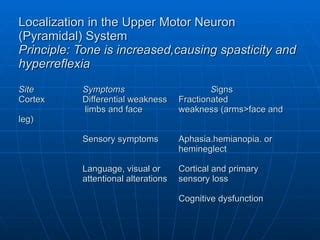 Localization In Clinical Neurology | PPT | Free Download