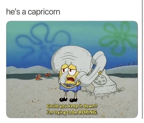 Capricorn : r/astrologymemes