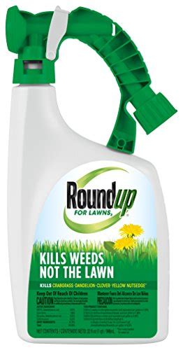 The Best Dandelion Killer Spray