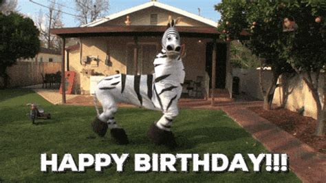 The 13 Best Birthday Celebration GIFs | Thankbox Blog