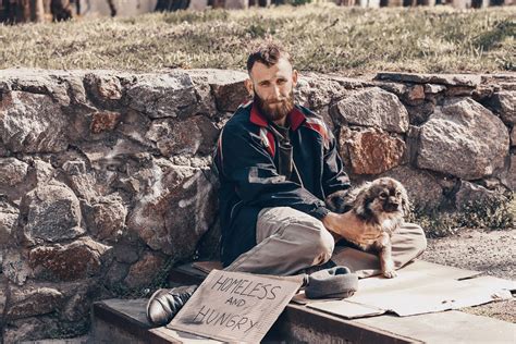 Why Are Pets So Important To The Homeless? - AFB Pet Club