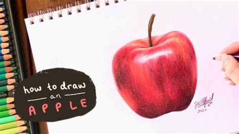 HOW TO DRAW A REALISTIC APPLE | with coloured pencils | Drawing apple ...