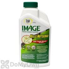 Ortho Nutsedge Killer For Lawns Ready-to-Use