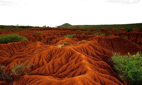 What is Erosion? Effects of Soil Erosion and Land Degradation