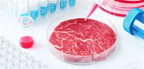 Cultured Meats: Who, How and When? | Midan