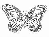 Free Printable Butterfly Coloring Pages For Kids sketch template