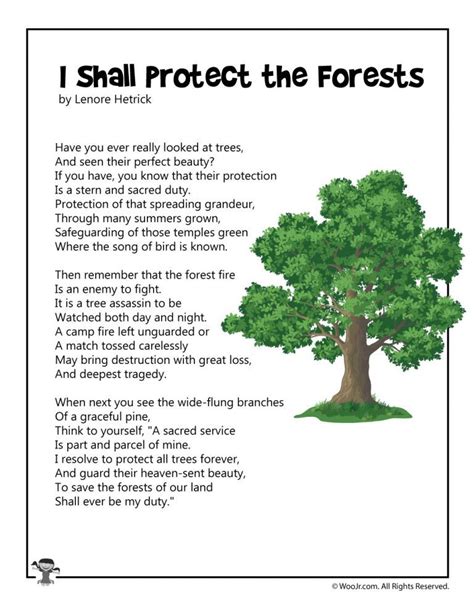 I Shall Protect the Forests Conservation Poem | Woo! Jr. Kids Activities | Nature poems for kids ...