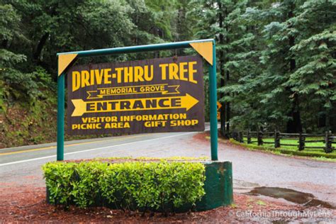 Chandelier Drive-Thru Tree in Leggett - California Through My Lens