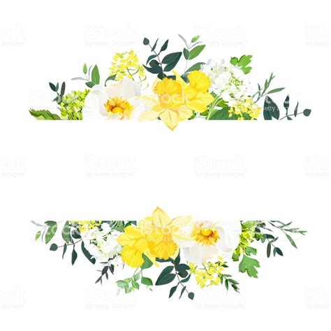 Yellow wedding horizontal botanical vector design banner. Daffodil,... | Floral border design ...