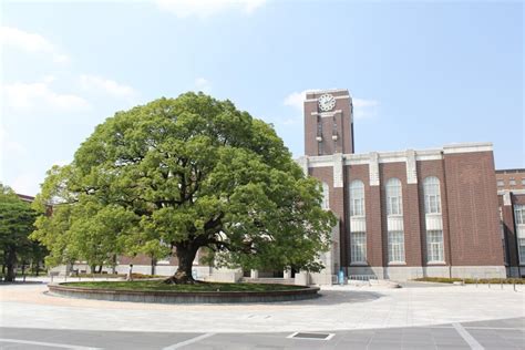 Kyoto University: Courses, Fees & Eligibility - CareerGuide