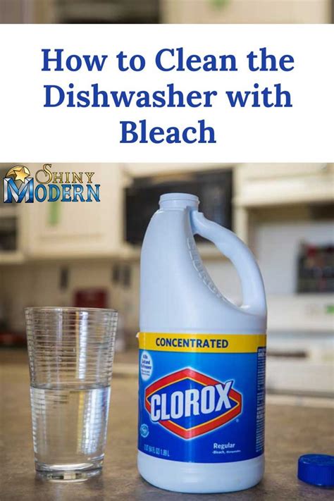 How to Clean the Dishwasher with Bleach | Cleaning dishwasher vinegar ...