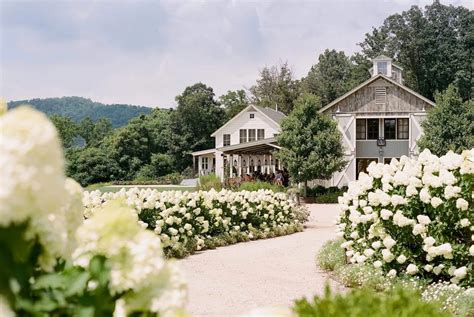 Culinary Vineyard in Virginia's Wine Country | Pippin Hill Farm